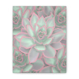 Echeveria Violet Queen Succulent Pattern Canvas Print – Botanical Wall Art