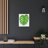 Melting Monstera Canvas Print – Botanical Wall Art