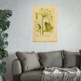 Fennel with Swallowtail Butterfly and Caterpillar