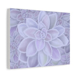 Graptopetalum Murasaki Succulent Pattern Canvas Print – Botanical Wall Art