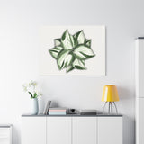 Manjula Pothos Canvas Print – Botanical Wall Art