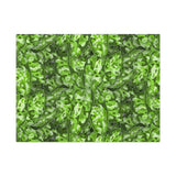 Aglaonema Pictum Canvas Print – Botanical Wall Art