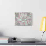 Echeveria Violet Queen Succulent Pattern Canvas Print – Botanical Wall Art