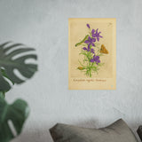 Royal Larkspur with Moth and Caterpillar, Consolida regalis hortensis Botanical Art Poster