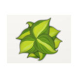 Philodendron Brasil Canvas Print – Botanical Wall Art