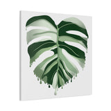 Melting Monstera Albo Canvas Print – Botanical Wall Art