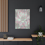 Echeveria Violet Queen Succulent Pattern Canvas Print – Botanical Wall Art