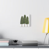 Ponderosa Pine Canvas Print – Wall Art