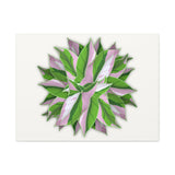 Syngonium Tricolor Pattern Canvas Print – Botanical Wall Art