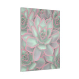 Echeveria Violet Queen Succulent Pattern Canvas Print – Botanical Wall Art