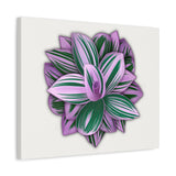 Tradescantia Nanouk Canvas Print – Botanical Wall Art
