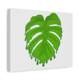 Melting Monstera Canvas Print – Botanical Wall Art