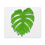 Melting Monstera Canvas Print – Botanical Wall Art