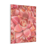 Graptosedum California Sunset Succulent Pattern Canvas Print – Botanical Wall Art