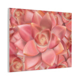 Graptosedum California Sunset Succulent Pattern Canvas Print – Botanical Wall Art