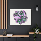 Tradescantia Nanouk Canvas Print – Botanical Wall Art