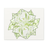 Snow Queen Pothos Canvas Print – Botanical Wall Art