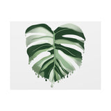 Melting Monstera Albo Canvas Print – Botanical Wall Art