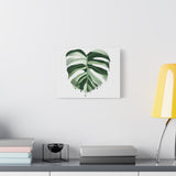 Melting Monstera Albo Canvas Print – Botanical Wall Art