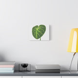 Philodendron Gloriosum Canvas Print – Botanical Wall Art