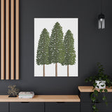 Ponderosa Pine Canvas Print – Wall Art