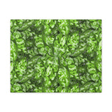 Aglaonema Pictum Canvas Print – Botanical Wall Art