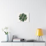 Stromanthe Triostar Canvas Print – Botanical Wall Art
