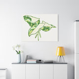 Marble Syngonium Canvas Print – Botanical Wall Art