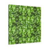 Aglaonema Pictum Canvas Print – Botanical Wall Art