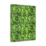 Aglaonema Pictum Canvas Print – Botanical Wall Art