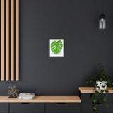 Melting Monstera Canvas Print – Botanical Wall Art
