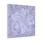 Graptopetalum Murasaki Succulent Pattern Canvas Print – Botanical Wall Art
