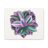 Tradescantia Nanouk Canvas Print – Botanical Wall Art