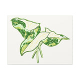 Marble Syngonium Canvas Print – Botanical Wall Art