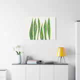 Snake Plant Canvas Print – Botanical Wall Art