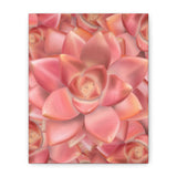 Graptosedum California Sunset Succulent Pattern Canvas Print – Botanical Wall Art