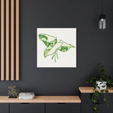 Marble Syngonium Canvas Print – Botanical Wall Art