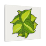Philodendron Brasil Canvas Print – Botanical Wall Art