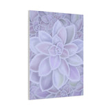 Graptopetalum Murasaki Succulent Pattern Canvas Print – Botanical Wall Art