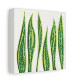 Snake Plant Canvas Print – Botanical Wall Art