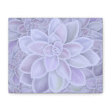 Graptopetalum Murasaki Succulent Pattern Canvas Print – Botanical Wall Art