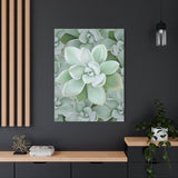 Pachyveria Haagei Succulent Pattern Canvas Print – Botanical Wall Art