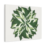 Calathea White Fusion Canvas Print – Botanical Wall Art