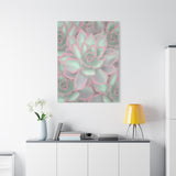 Echeveria Violet Queen Succulent Pattern Canvas Print – Botanical Wall Art