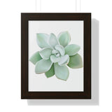 Pachyveria Haagei Succulent Framed Print – Botanical Wall Art