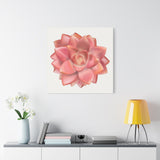 Graptosedum California Sunset Succulent Canvas Print – Botanical Wall Art