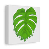 Melting Monstera Canvas Print – Botanical Wall Art