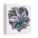 Tradescantia Nanouk Canvas Print – Botanical Wall Art