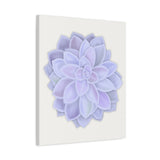 Graptopetalum Murasaki Succulent Canvas Print – Botanical Wall Art