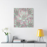 Echeveria Violet Queen Succulent Pattern Canvas Print – Botanical Wall Art